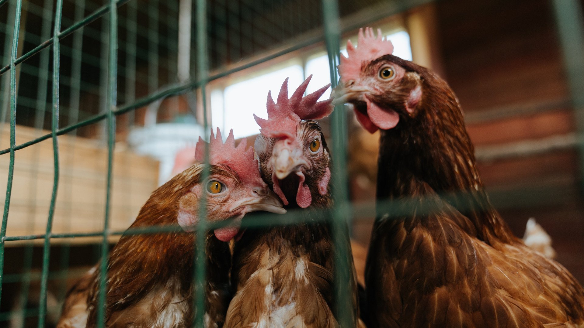 运动干预对学生学习压力缓解作用实证研究,运动干预原理