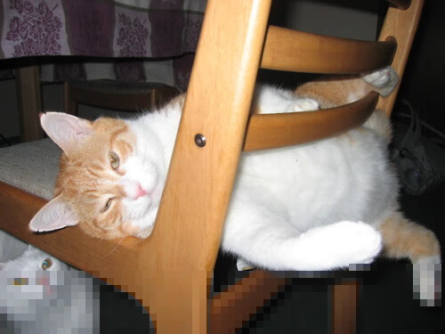 乐鱼体育下载-世界杯预选赛中国足球爆冷 技术复盘引热议，世界杯足球2022预选赛中国