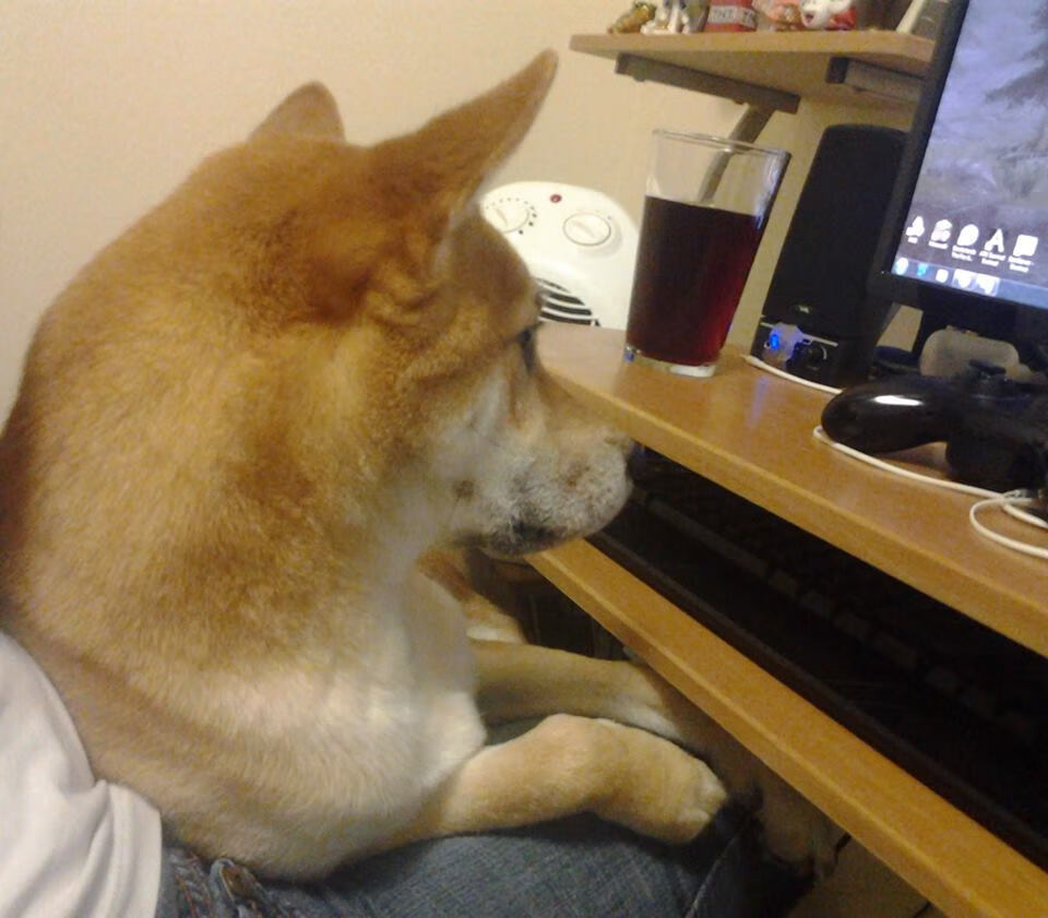 乐鱼体育app官网入口-亚洲拳击锦标赛中国女将三金收官，亚洲拳击锦标赛中国女将三金收官了吗