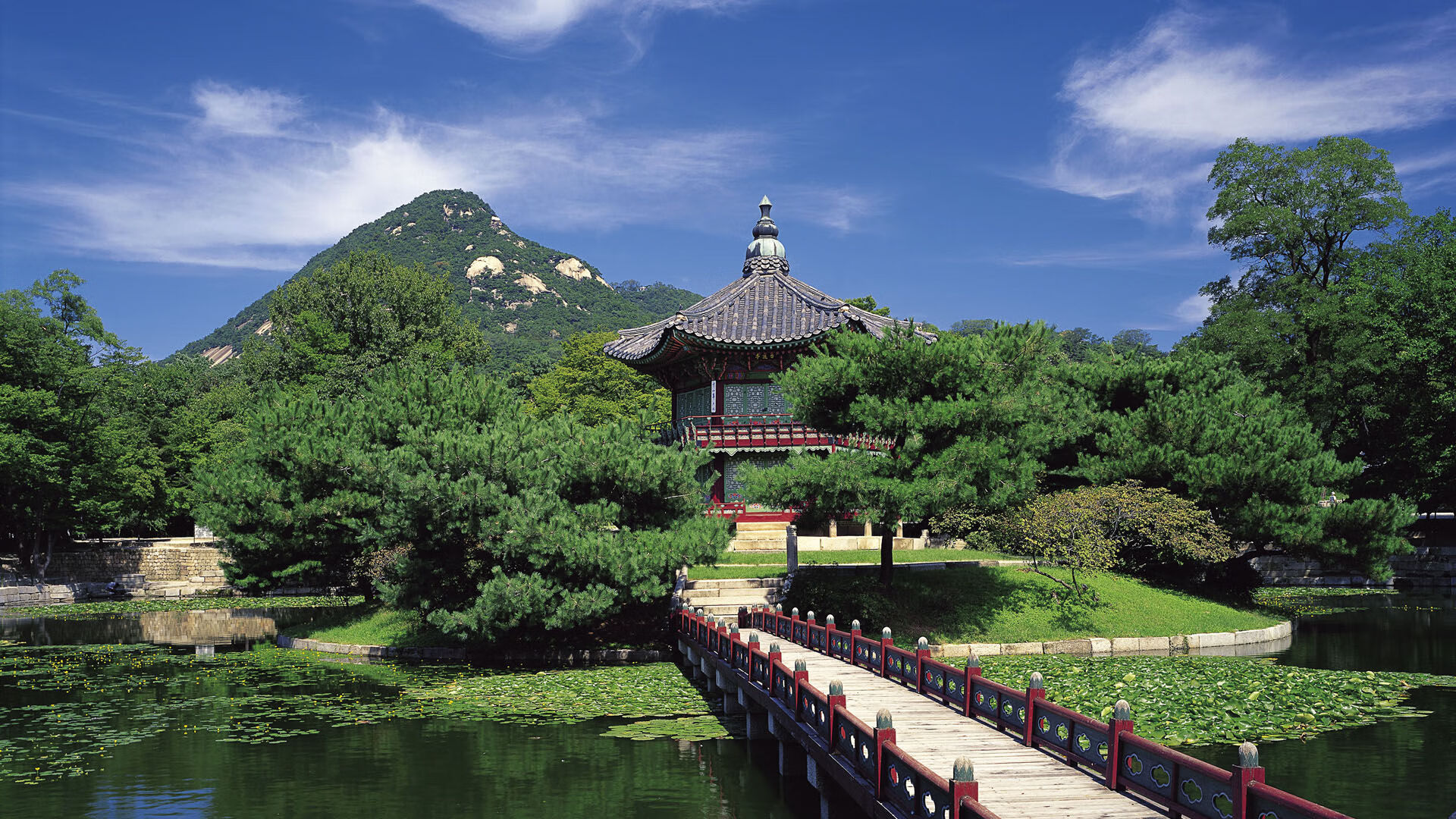 体育新闻中心协办高校体育媒体融合交流会,体育媒体服务