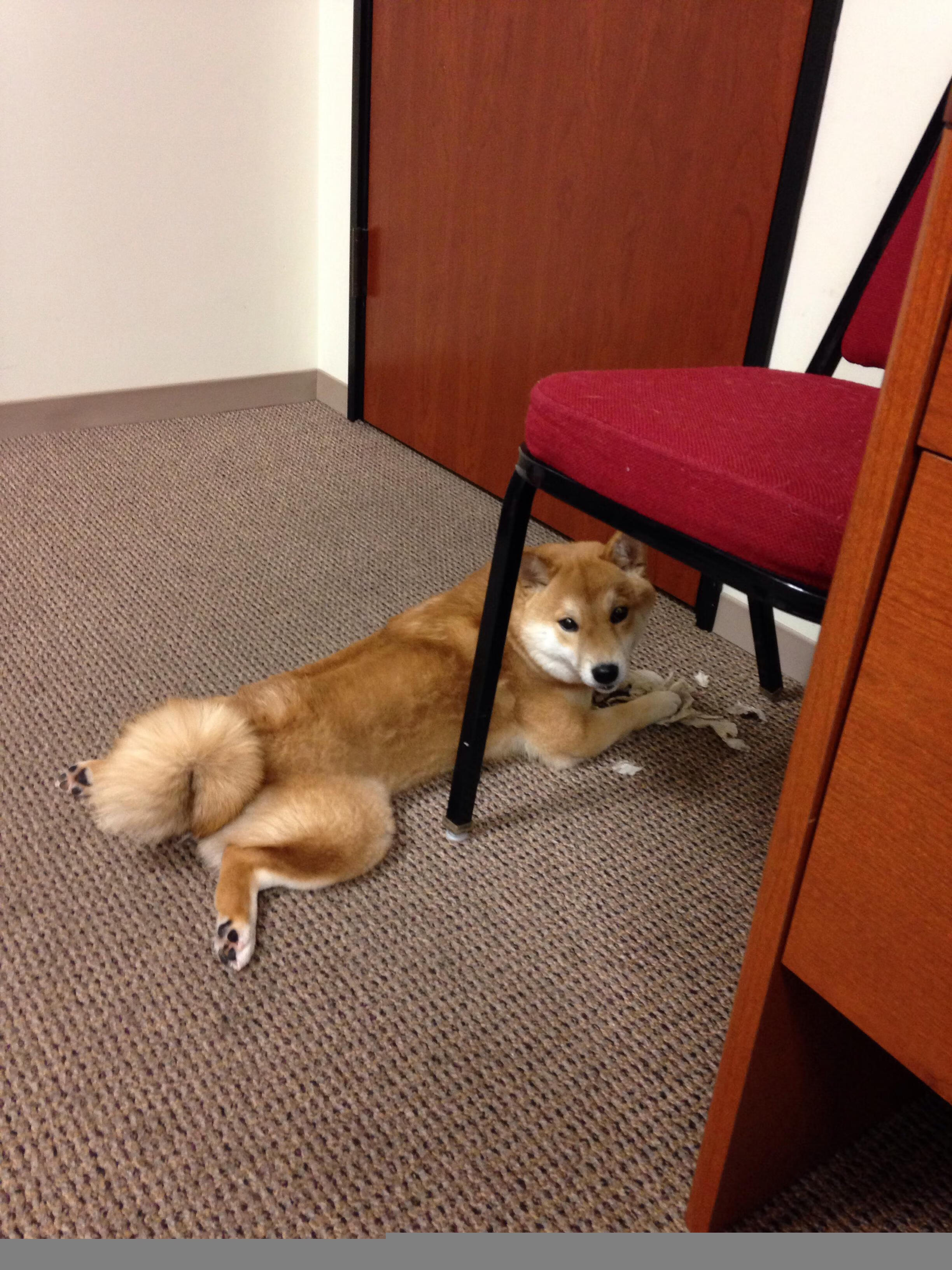 国际热身赛国足逆袭 球员拼劲值得肯定,国足热身赛比赛结果