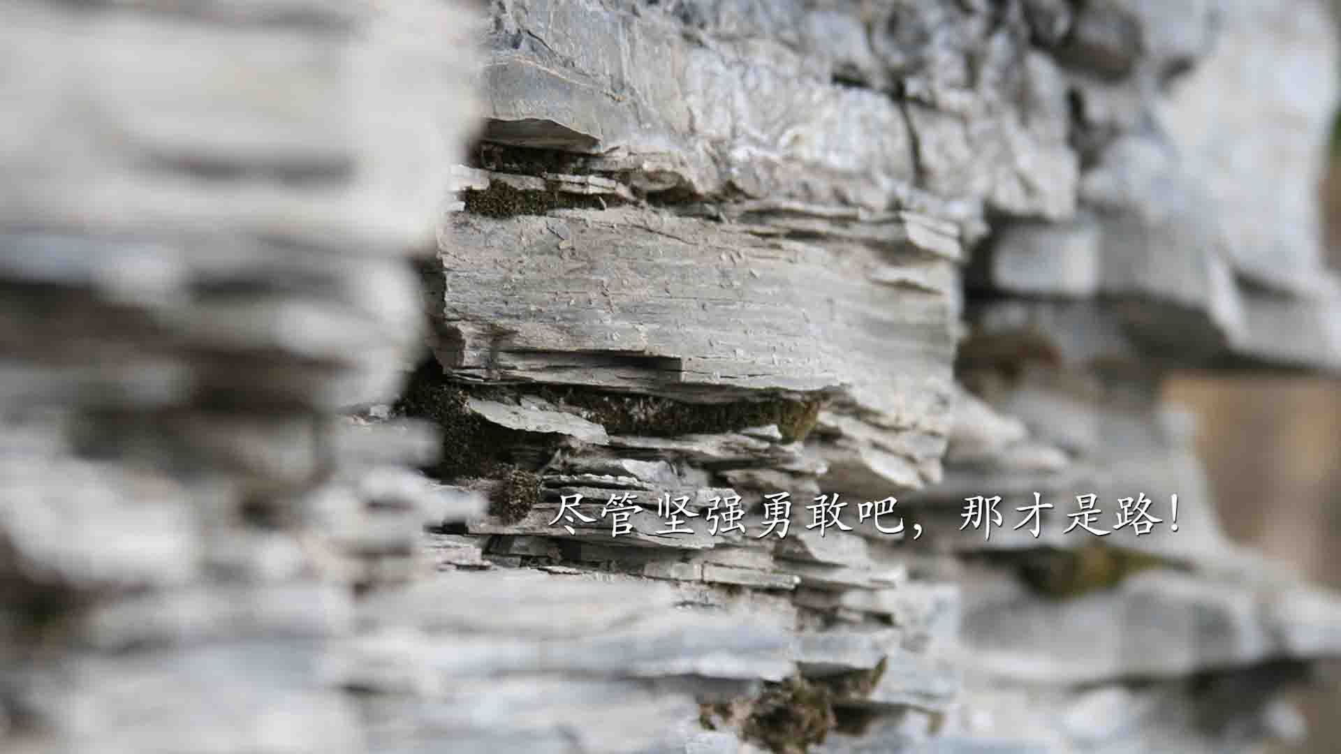 西雅图主帅强调心理建设,备战决赛,西雅图是哪支球队