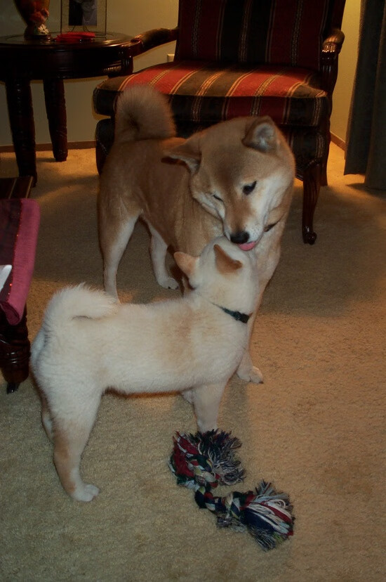 体育赛事营销策略创新,体育赛事营销推广方案