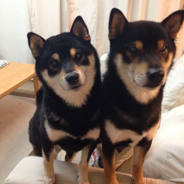 乐鱼体育app官网-国内外足球明星公益巡展持续进行，推广体育精神，国内外的足球明星有哪些