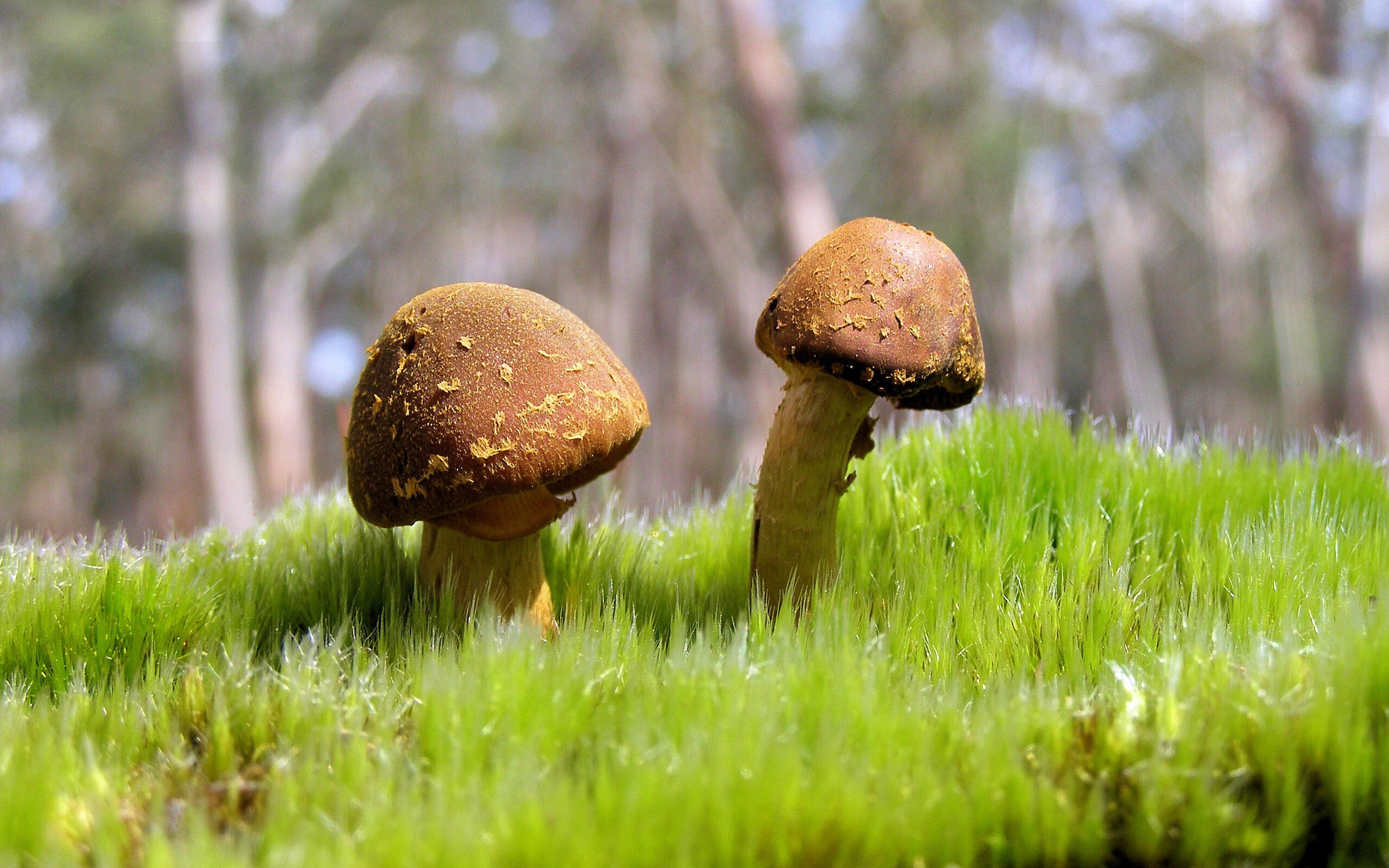 年轻教练崭露头角,战术革新引领新风向,年轻的教官是怎样的