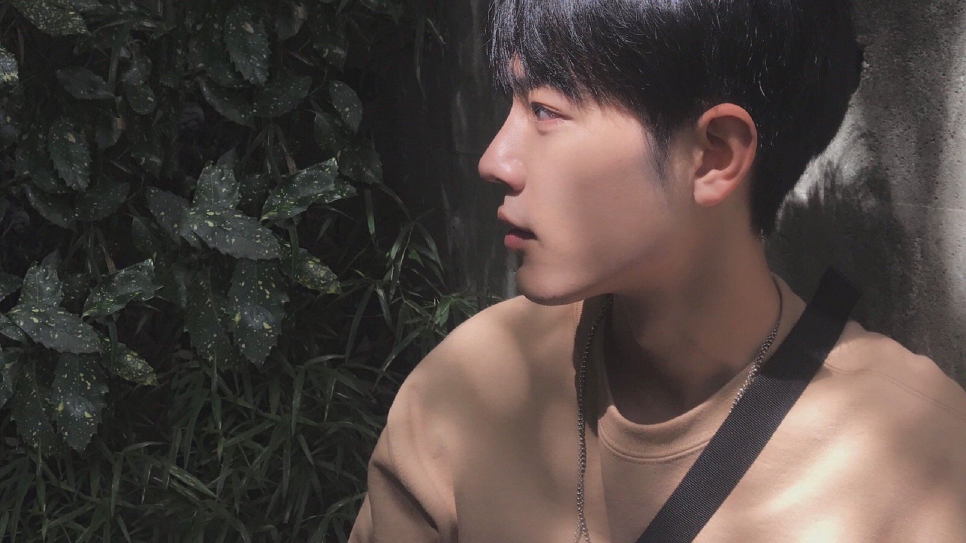 斯滕伯根100米自由泳冲刺表现抢眼