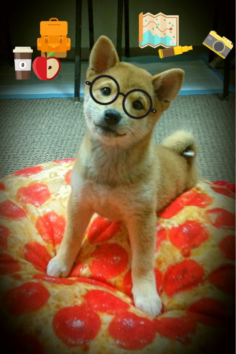 水球终场绝杀摩纳哥逆转取胜,水球终场绝杀摩纳哥逆转取胜是哪一集